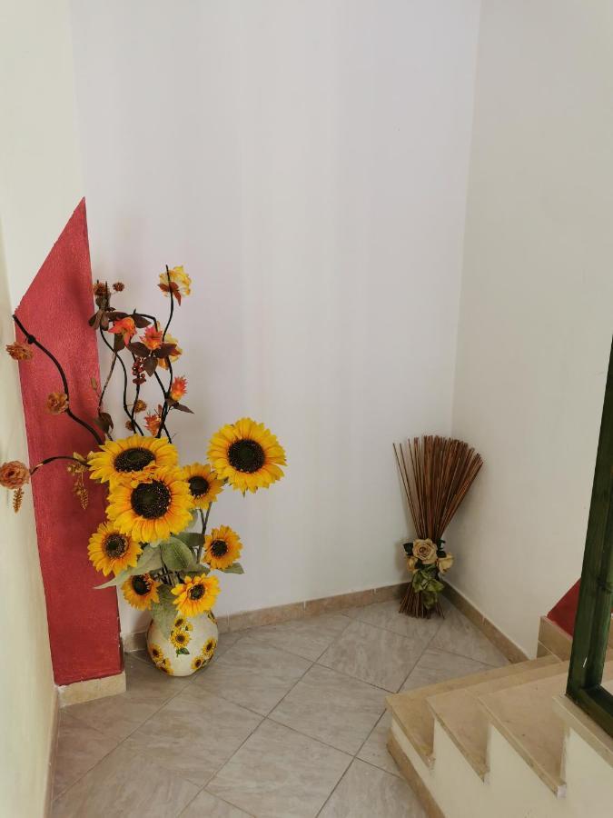 Gigiotto Apartment Syracuse Exterior foto